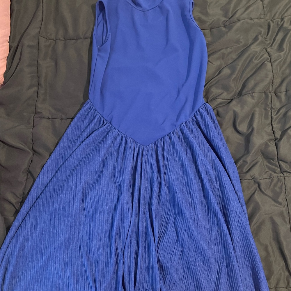 Rebdolls Royal Blue Skater Dress